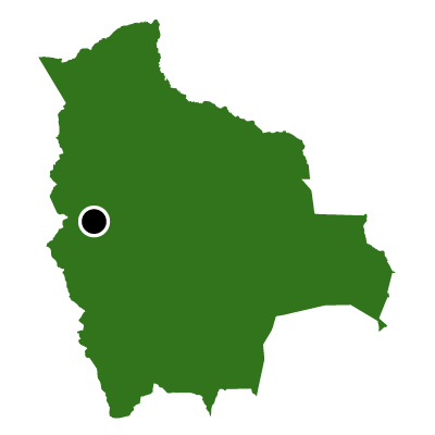 ボリビア多民族国無料フリーイラスト｜首都(緑)